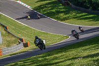 brands-hatch-photographs;brands-no-limits-trackday;cadwell-trackday-photographs;enduro-digital-images;event-digital-images;eventdigitalimages;no-limits-trackdays;peter-wileman-photography;racing-digital-images;trackday-digital-images;trackday-photos